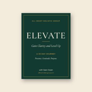ELEVATE: Gain Clarity and Level Up, a 30 day workbook by Sean Owen